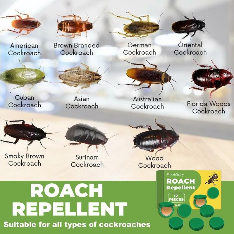 Cilifer® 🔥Moonspry Household Strong Cockroach Killing Gel D01