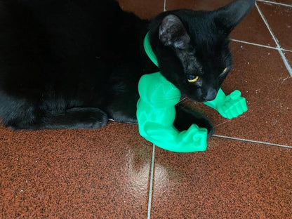 Cilifer® 🔥 Creative Pets Green Giant arm💪  D01