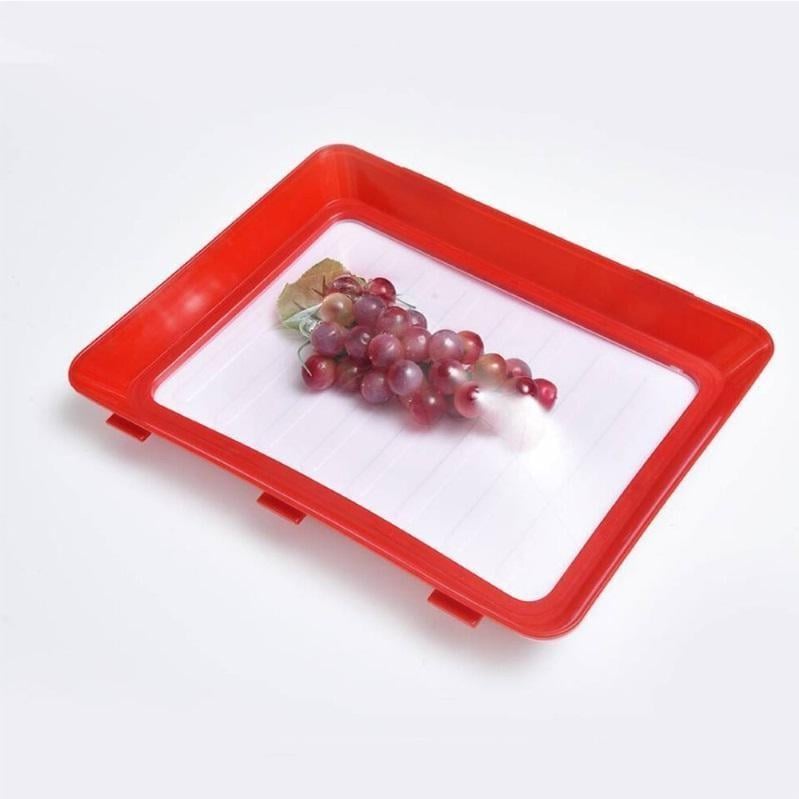 Cilifer® 🔥Environmentally Friendly Design - Reusable Food Preserving Tray🥰 D01