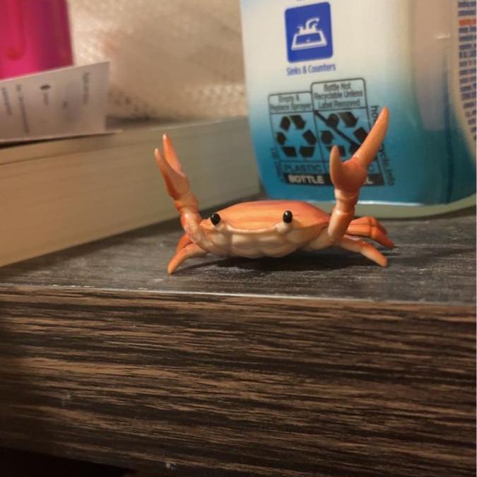 Cilifer®🤣 Funny Hot Sale - 🦀 Cute crab-shaped pen holder