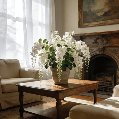 Cilifer® Midnight Perfume Jasmine Seeds – Winter Planting. Perennial Blooms & Fragrant Garden Elegance 🌸