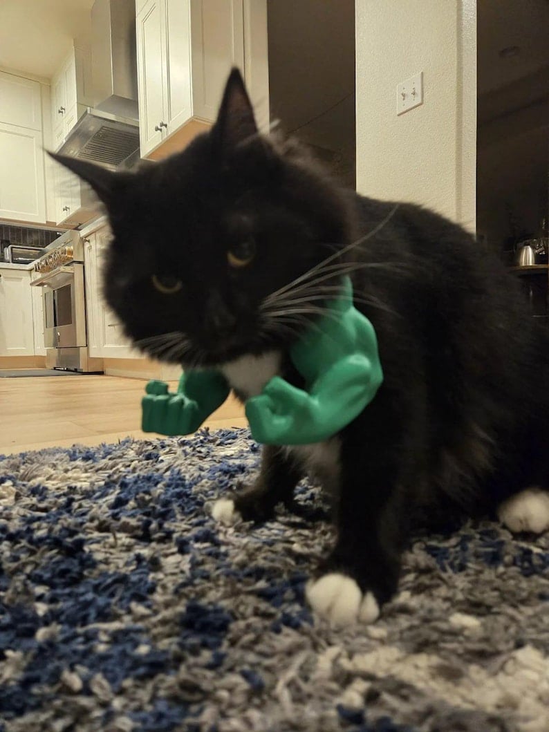 Cilifer® 🔥 Creative Pets Green Giant arm💪  D01