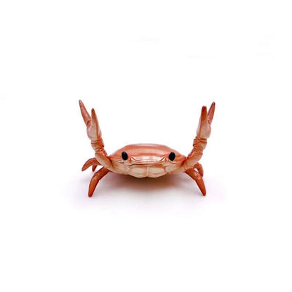 Cilifer®🤣 Funny Hot Sale - 🦀 Cute crab-shaped pen holder