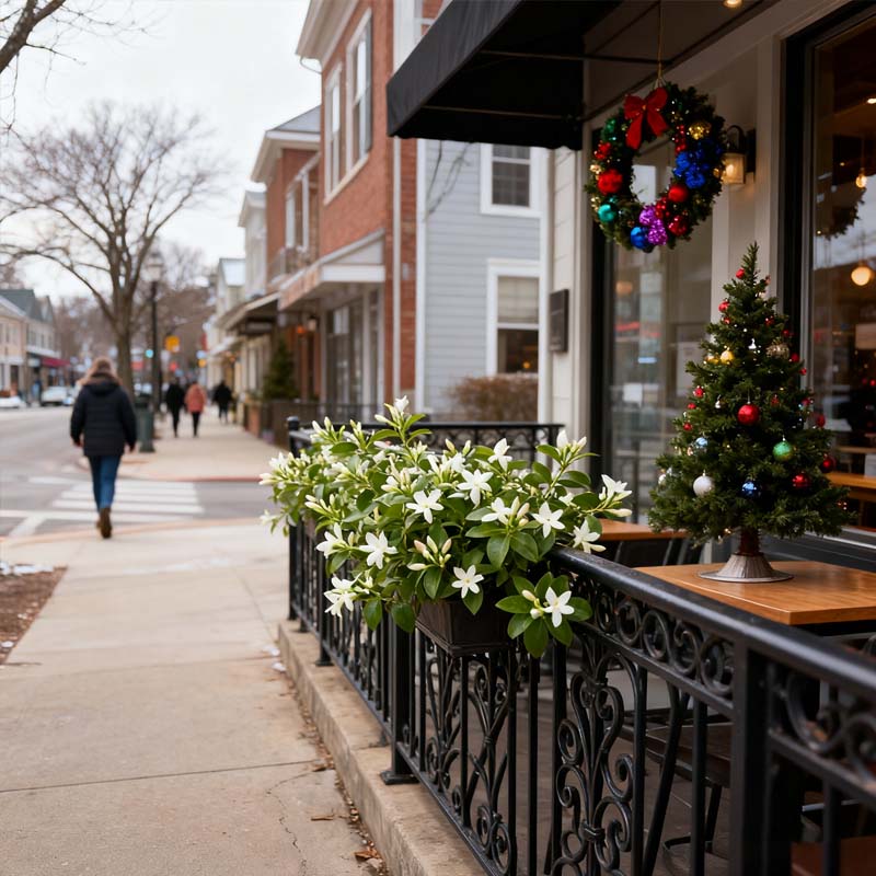 Cilifer® Midnight Perfume Jasmine Seeds – Winter Planting. Perennial Blooms & Fragrant Garden Elegance 🌸