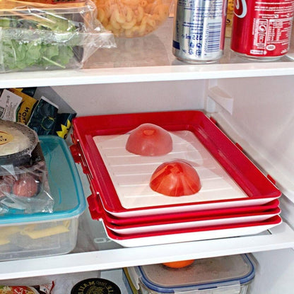 Cilifer® 🔥Environmentally Friendly Design - Reusable Food Preserving Tray🥰 D01