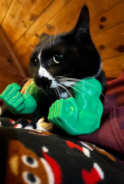Cilifer® 🔥 Creative Pets Green Giant arm💪  D01